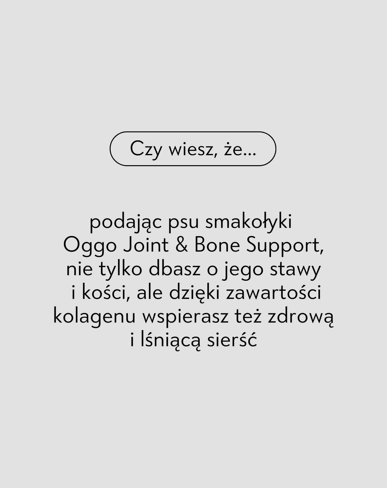 Zdjęcie produktu 3